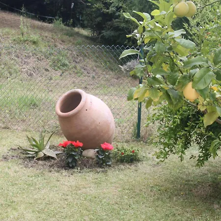 En Altos De Apartman *